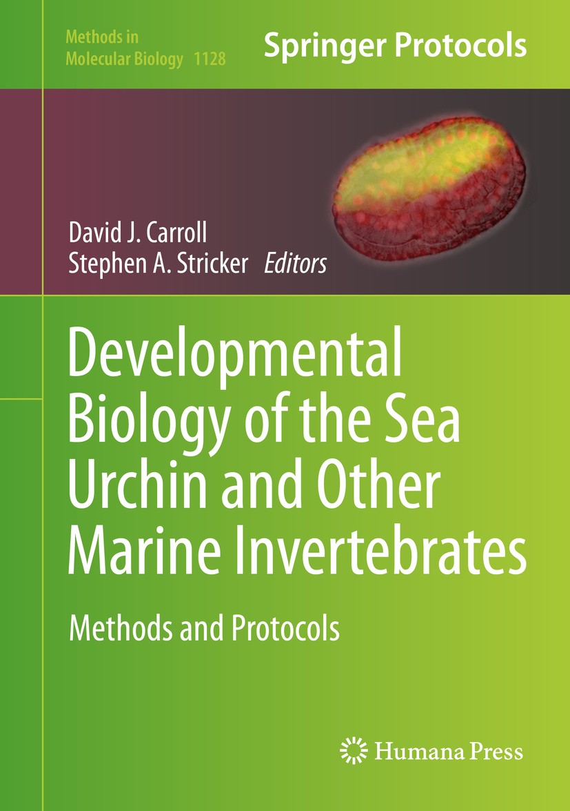 Titlebook: Developmental Biology of the Sea Urchin and Other Marine Invertebrates; Methods and Protocol David J. Carroll,Stephen A. Stricker Book 2014 Titlebook: Developmental Biology of the Sea Urchin and Other Marine Invertebrates; Methods and Protocol David J. Carroll,Stephen A. Stricker Book 2014