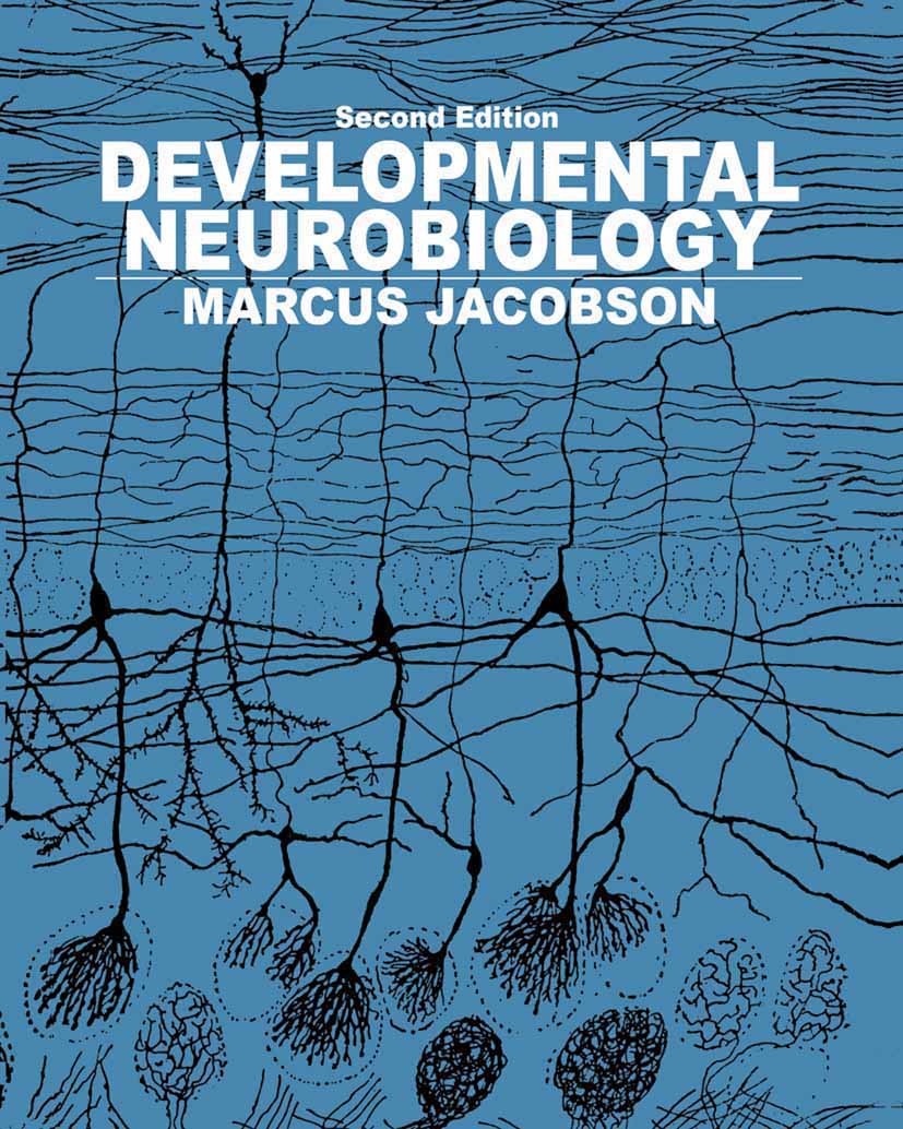 Titlebook: Developmental Neurobiology; Marcus Jacobson Book 1978Latest edition Springer Science+Business Media New York 1978 Nervous System.behavior. Titlebook: Developmental Neurobiology; Marcus Jacobson Book 1978Latest edition Springer Science+Business Media New York 1978 Nervous System.behavior.
