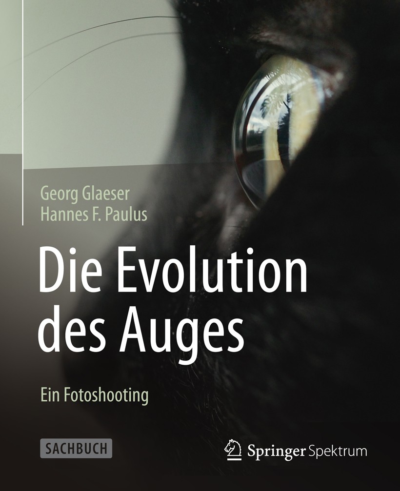 Titlebook: Die Evolution des Auges - Ein Fotoshooting; Georg Glaeser,Hannes F. Paulus Book 2014 Springer-Verlag Berlin Heidelberg 2014 Auge.Augenspra Titlebook: Die Evolution des Auges - Ein Fotoshooting; Georg Glaeser,Hannes F. Paulus Book 2014 Springer-Verlag Berlin Heidelberg 2014 Auge.Augenspra