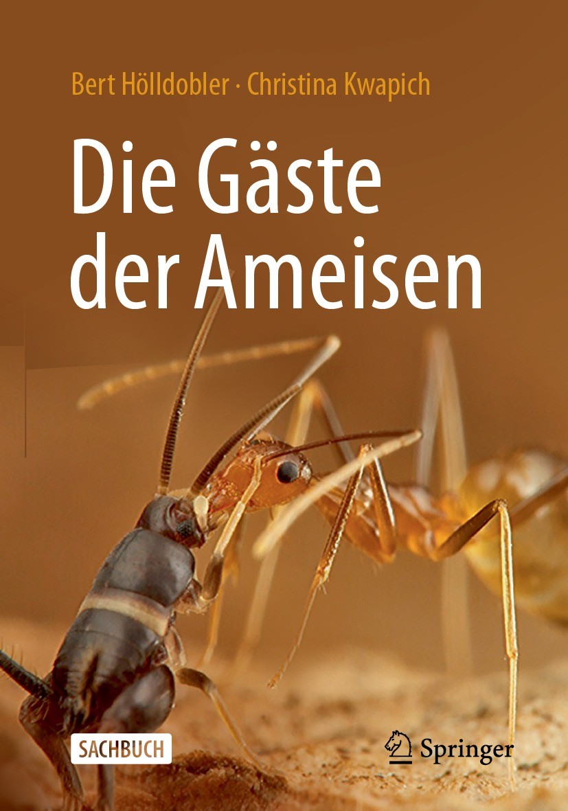 Titlebook: Die Gäste der Ameisen; Wie Myrmecophile mit Bert Hölldobler,Christina Kwapich Book 2023 This is a U.S. government work and not under copyri Titlebook: Die Gäste der Ameisen; Wie Myrmecophile mit Bert Hölldobler,Christina Kwapich Book 2023 This is a U.S. government work and not under copyri