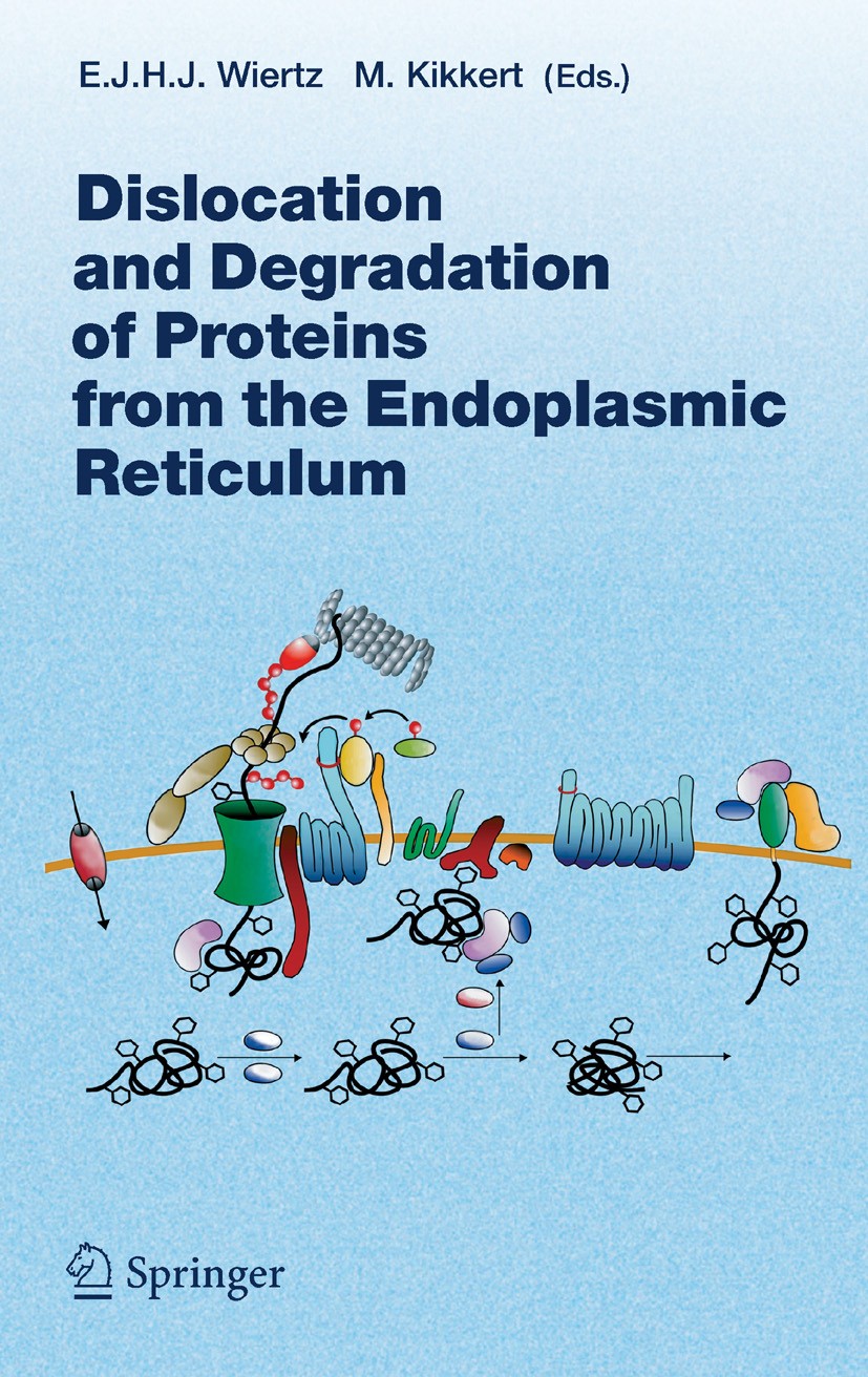Titlebook: Dislocation and Degradation of Proteins from the Endoplasmic Reticulum; Emmanuel Wiertz,Marjolein Kikkert Book 2005 The Editor(s) (if appl Titlebook: Dislocation and Degradation of Proteins from the Endoplasmic Reticulum; Emmanuel Wiertz,Marjolein Kikkert Book 2005 The Editor(s) (if appl