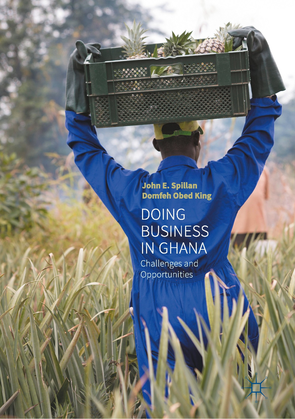 Titlebook: Doing Business In Ghana; Challenges and Oppor John E. Spillan,Domfeh Obed King Book 2017 The Editor(s) (if applicable) and The Author(s) 20 Titlebook: Doing Business In Ghana; Challenges and Oppor John E. Spillan,Domfeh Obed King Book 2017 The Editor(s) (if applicable) and The Author(s) 20