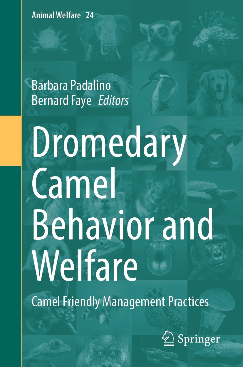 Titlebook: Dromedary Camel Behavior and Welfare; Camel Friendly Manag Barbara Padalino,Bernard Faye Book 2024 The Editor(s) (if applicable) and The Au Titlebook: Dromedary Camel Behavior and Welfare; Camel Friendly Manag Barbara Padalino,Bernard Faye Book 2024 The Editor(s) (if applicable) and The Au