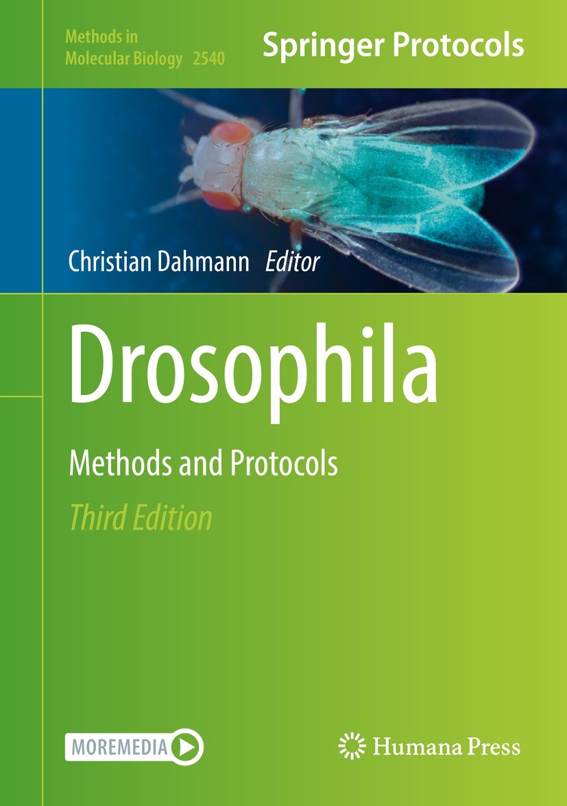 Titlebook: Drosophila; Methods and Protocol Christian Dahmann Book 2022Latest edition The Editor(s) (if applicable) and The Author(s), under exclusive Titlebook: Drosophila; Methods and Protocol Christian Dahmann Book 2022Latest edition The Editor(s) (if applicable) and The Author(s), under exclusive