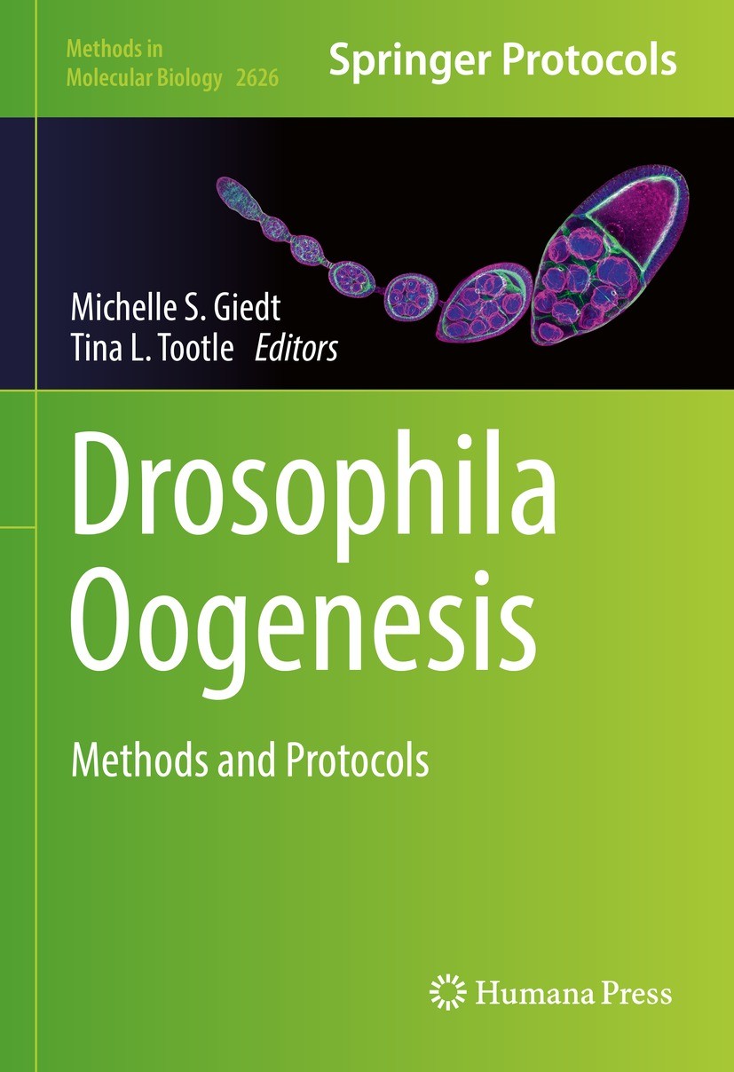 Titlebook: Drosophila Oogenesis; Methods and Protocol Michelle S. Giedt,Tina L. Tootle Book 2023 The Editor(s) (if applicable) and The Author(s), unde Titlebook: Drosophila Oogenesis; Methods and Protocol Michelle S. Giedt,Tina L. Tootle Book 2023 The Editor(s) (if applicable) and The Author(s), unde