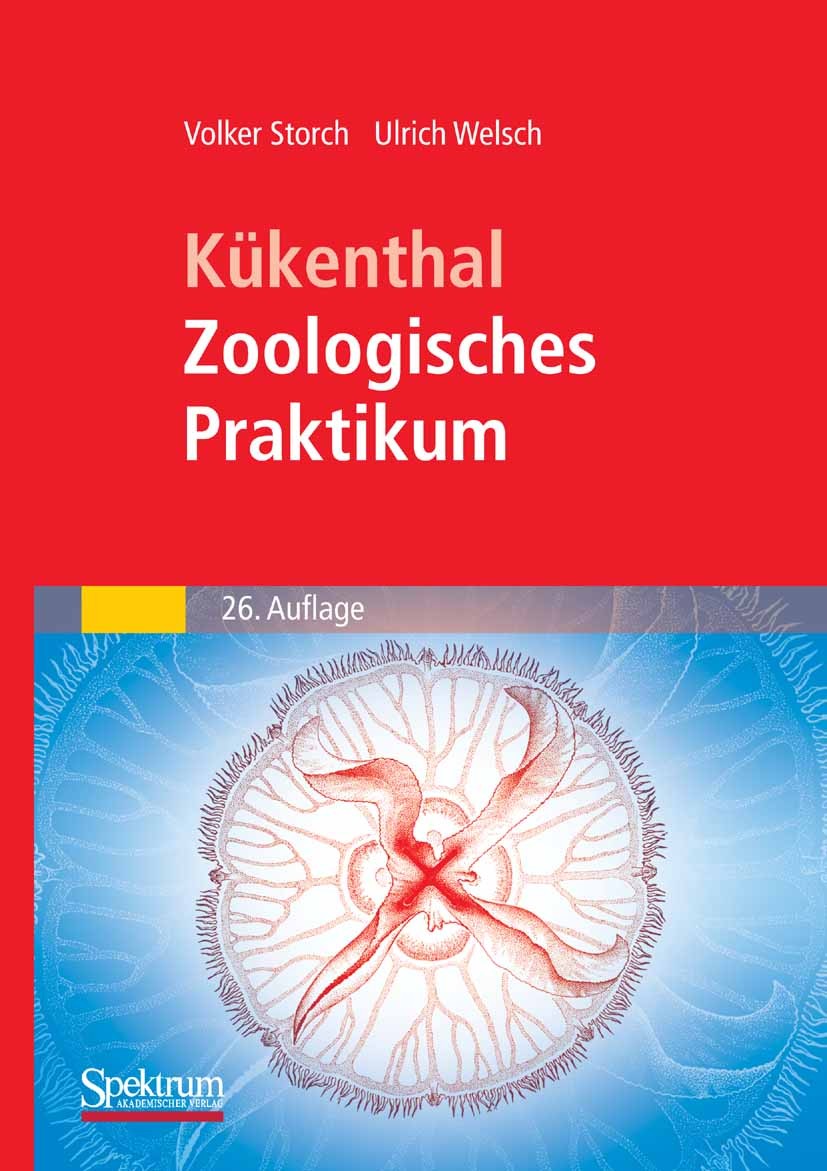 Titlebook: Kükenthal - Zoologisches Praktikum; Volker Storch,Ulrich Welsch Textbook 200926th edition Spektrum Akademischer Verlag 2009 Annelida.Chaet Titlebook: Kükenthal - Zoologisches Praktikum; Volker Storch,Ulrich Welsch Textbook 200926th edition Spektrum Akademischer Verlag 2009 Annelida.Chaet