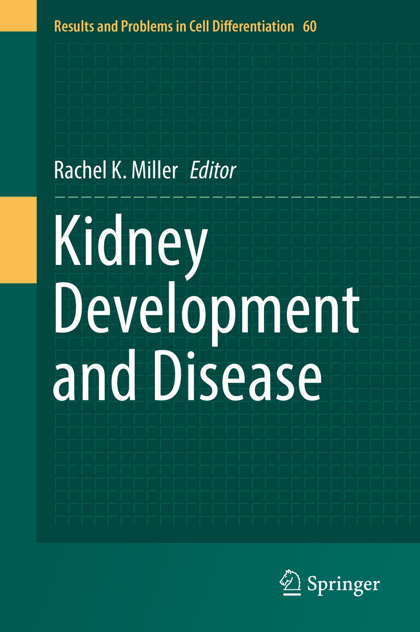 Titlebook: Kidney Development and Disease; Rachel K. Miller Book 2017 Springer International Publishing AG 2017 Kidney development.Kidney disease.Nep Titlebook: Kidney Development and Disease; Rachel K. Miller Book 2017 Springer International Publishing AG 2017 Kidney development.Kidney disease.Nep
