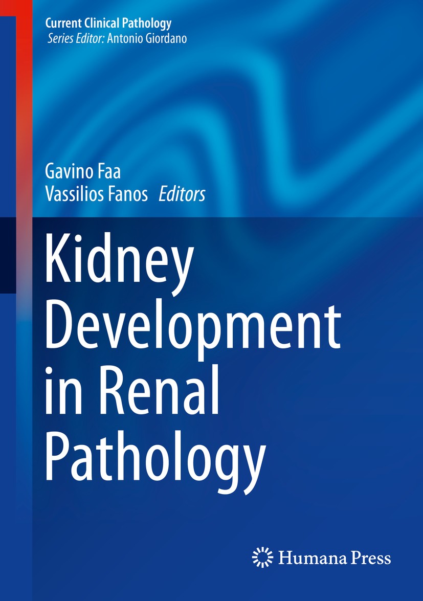 Titlebook: Kidney Development in Renal Pathology; Gavino Faa,Vassilios Fanos Book 2014 The Editor(s) (if applicable) and The Author(s), under exclusi Titlebook: Kidney Development in Renal Pathology; Gavino Faa,Vassilios Fanos Book 2014 The Editor(s) (if applicable) and The Author(s), under exclusi