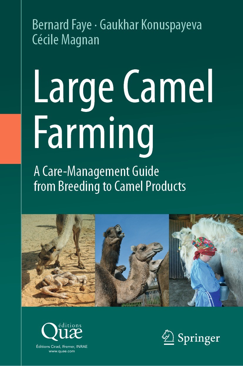 Titlebook: Large Camel Farming; A Care-Management Gu Bernard Faye,Gaukhar Konuspayeva,Cécile Magnan Book 2023 �ditions Qu� 2023 Large Camelids.Camel Titlebook: Large Camel Farming; A Care-Management Gu Bernard Faye,Gaukhar Konuspayeva,Cécile Magnan Book 2023 �ditions Qu� 2023 Large Camelids.Camel