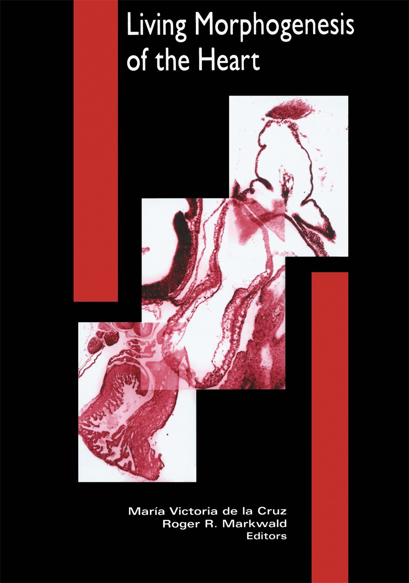 Titlebook: Living Morphogenesis of the Heart; María Victoria Cruz,Roger R. Markwald Book 1998 Springer Science+Business Media New York 1998 Developme Titlebook: Living Morphogenesis of the Heart; María Victoria Cruz,Roger R. Markwald Book 1998 Springer Science+Business Media New York 1998 Developme
