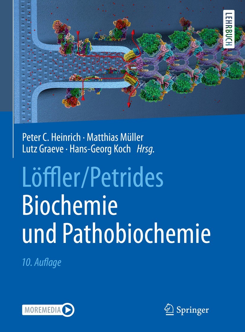 Titlebook: Löffler/Petrides Biochemie und Pathobiochemie; Peter C. Heinrich,Matthias Müller,Hans-Georg Koch Textbook 2022Latest edition Springer-Verl Titlebook: Löffler/Petrides Biochemie und Pathobiochemie; Peter C. Heinrich,Matthias Müller,Hans-Georg Koch Textbook 2022Latest edition Springer-Verl
