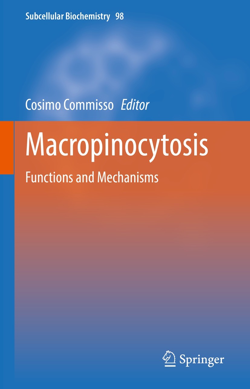 Titlebook: Macropinocytosis; Functions and Mechan Cosimo Commisso Book 2022 The Editor(s) (if applicable) and The Author(s), under exclusive license t Titlebook: Macropinocytosis; Functions and Mechan Cosimo Commisso Book 2022 The Editor(s) (if applicable) and The Author(s), under exclusive license t