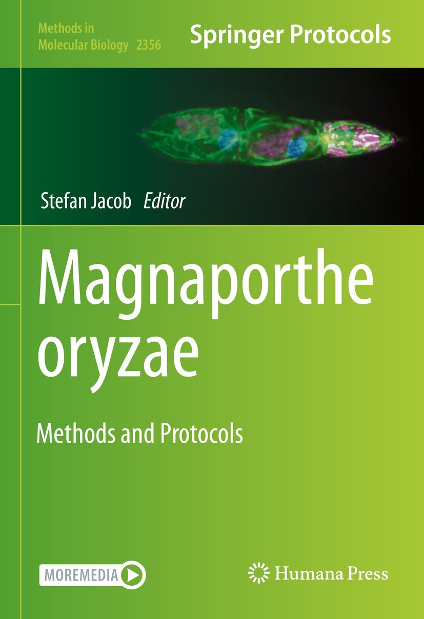 Titlebook: Magnaporthe oryzae; Methods and Protocol Stefan Jacob Book 2021 Springer Science+Business Media, LLC, part of Springer Nature 2021 CRISPR.b Titlebook: Magnaporthe oryzae; Methods and Protocol Stefan Jacob Book 2021 Springer Science+Business Media, LLC, part of Springer Nature 2021 CRISPR.b