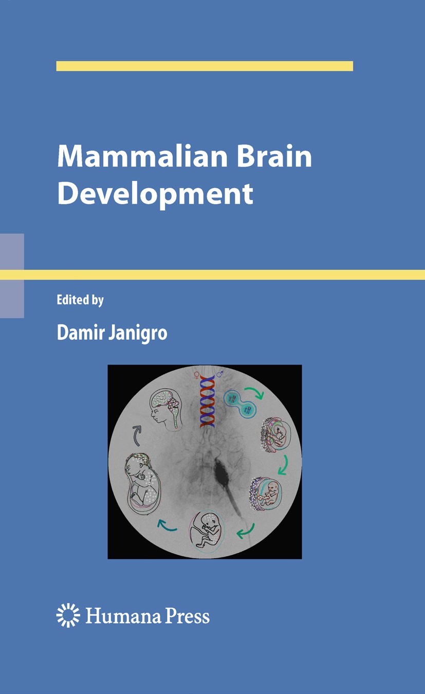 Titlebook: Mammalian Brain Development; Damir Janigro Book 2009 The Editor(s) (if applicable) and The Author(s), under exclusive license to Springer Titlebook: Mammalian Brain Development; Damir Janigro Book 2009 The Editor(s) (if applicable) and The Author(s), under exclusive license to Springer
