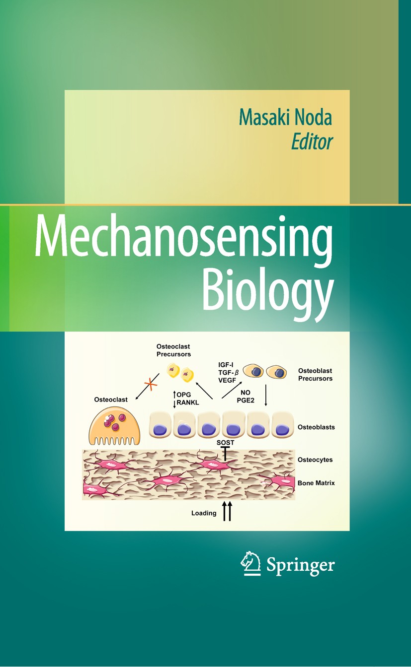Titlebook: Mechanosensing Biology; Masaki Noda (Professor, Director) Book 2011 Springer 2011 Titlebook: Mechanosensing Biology; Masaki Noda (Professor, Director) Book 2011 Springer 2011