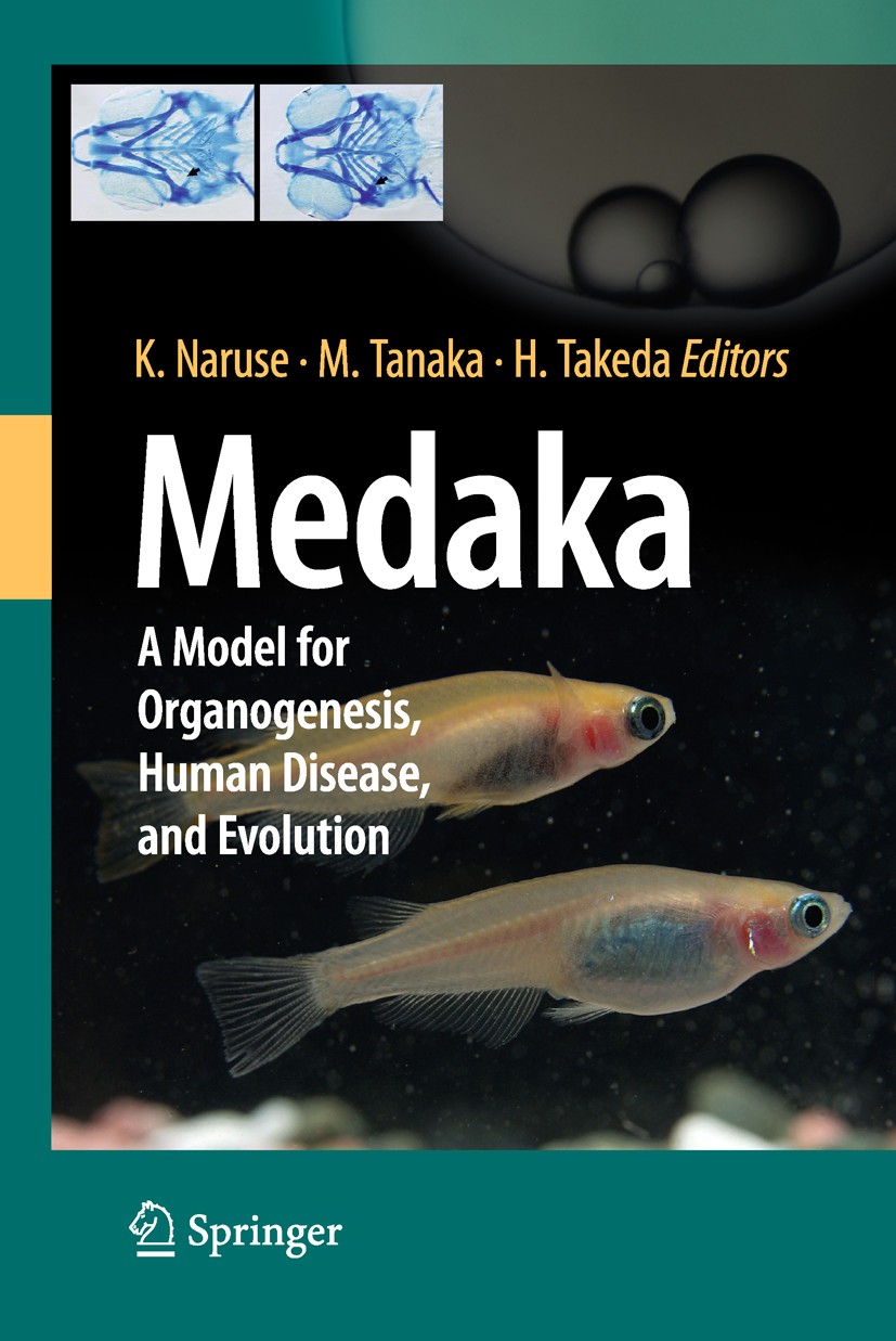 Titlebook: Medaka; A Model for Organoge Kiyoshi Naruse (Associate Professor),Minoru Tanaka Book 2011 Springer 2011 Titlebook: Medaka; A Model for Organoge Kiyoshi Naruse (Associate Professor),Minoru Tanaka Book 2011 Springer 2011