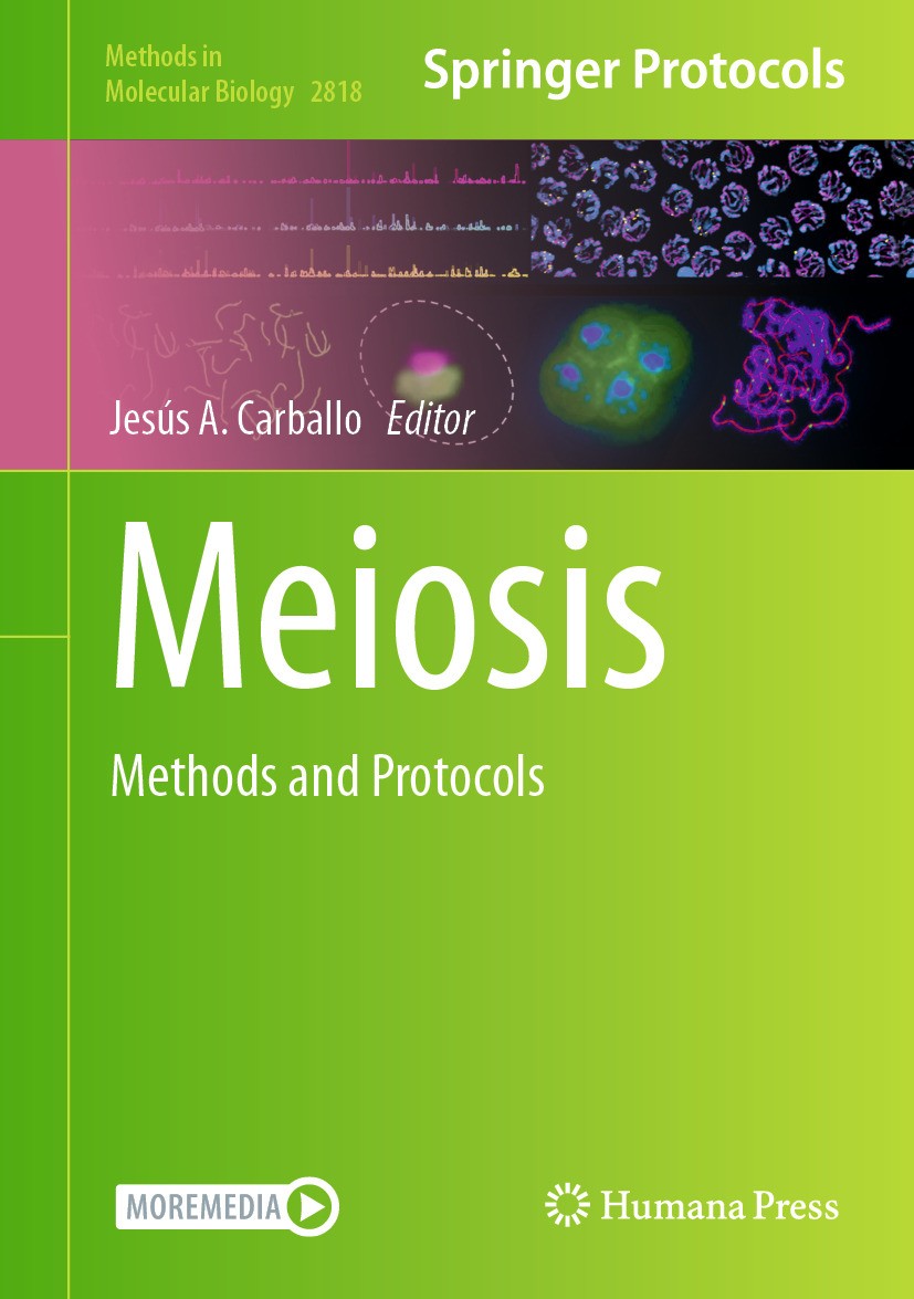 Titlebook: Meiosis; Methods and Protocol Jesús A Carballo Book 2024 The Editor(s) (if applicable) and The Author(s), under exclusive license to Spring Titlebook: Meiosis; Methods and Protocol Jesús A Carballo Book 2024 The Editor(s) (if applicable) and The Author(s), under exclusive license to Spring