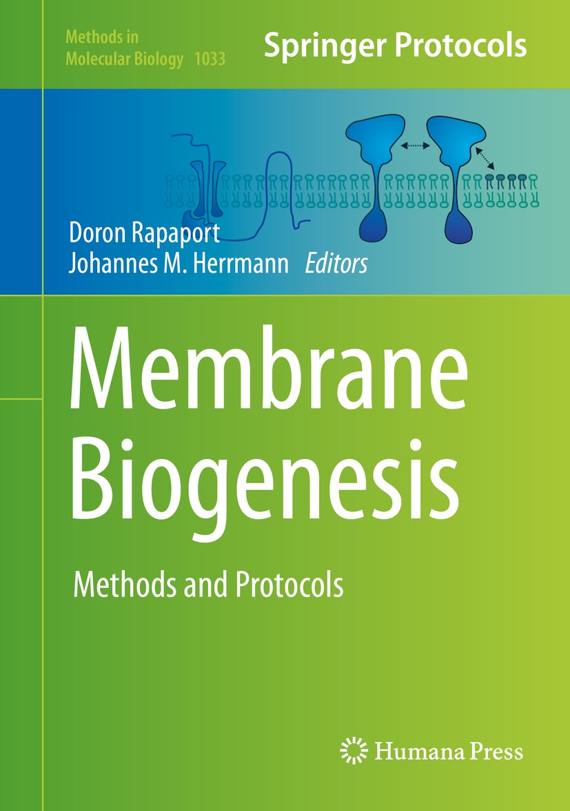 Titlebook: Membrane Biogenesis; Methods and Protocol Doron Rapaport,Johannes M. Herrmann Book 2013 Springer Science+Business Media, LLC 2013 Biogenesi Titlebook: Membrane Biogenesis; Methods and Protocol Doron Rapaport,Johannes M. Herrmann Book 2013 Springer Science+Business Media, LLC 2013 Biogenesi