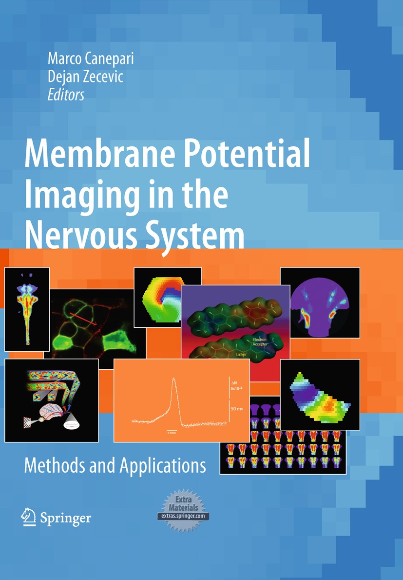 Titlebook: Membrane Potential Imaging in the Nervous System; Methods and Applicat Marco Canepari,Dejan Zecevic Book 2011 Springer Science+Business Med Titlebook: Membrane Potential Imaging in the Nervous System; Methods and Applicat Marco Canepari,Dejan Zecevic Book 2011 Springer Science+Business Med