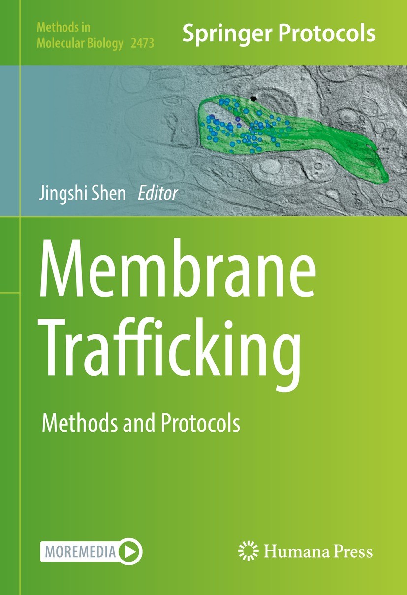 Titlebook: Membrane Trafficking; Methods and Protocol Jingshi Shen Book 2022 The Editor(s) (if applicable) and The Author(s), under exclusive license Titlebook: Membrane Trafficking; Methods and Protocol Jingshi Shen Book 2022 The Editor(s) (if applicable) and The Author(s), under exclusive license