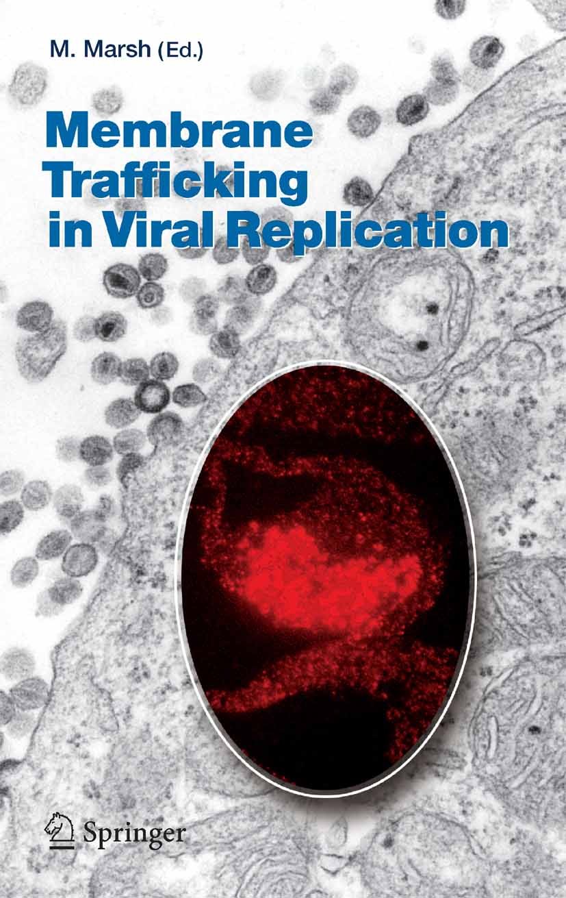 Titlebook: Membrane Trafficking in Viral Replication; Mark Marsh Book 2005 The Editor(s) (if applicable) and The Author(s), under exclusive license t Titlebook: Membrane Trafficking in Viral Replication; Mark Marsh Book 2005 The Editor(s) (if applicable) and The Author(s), under exclusive license t