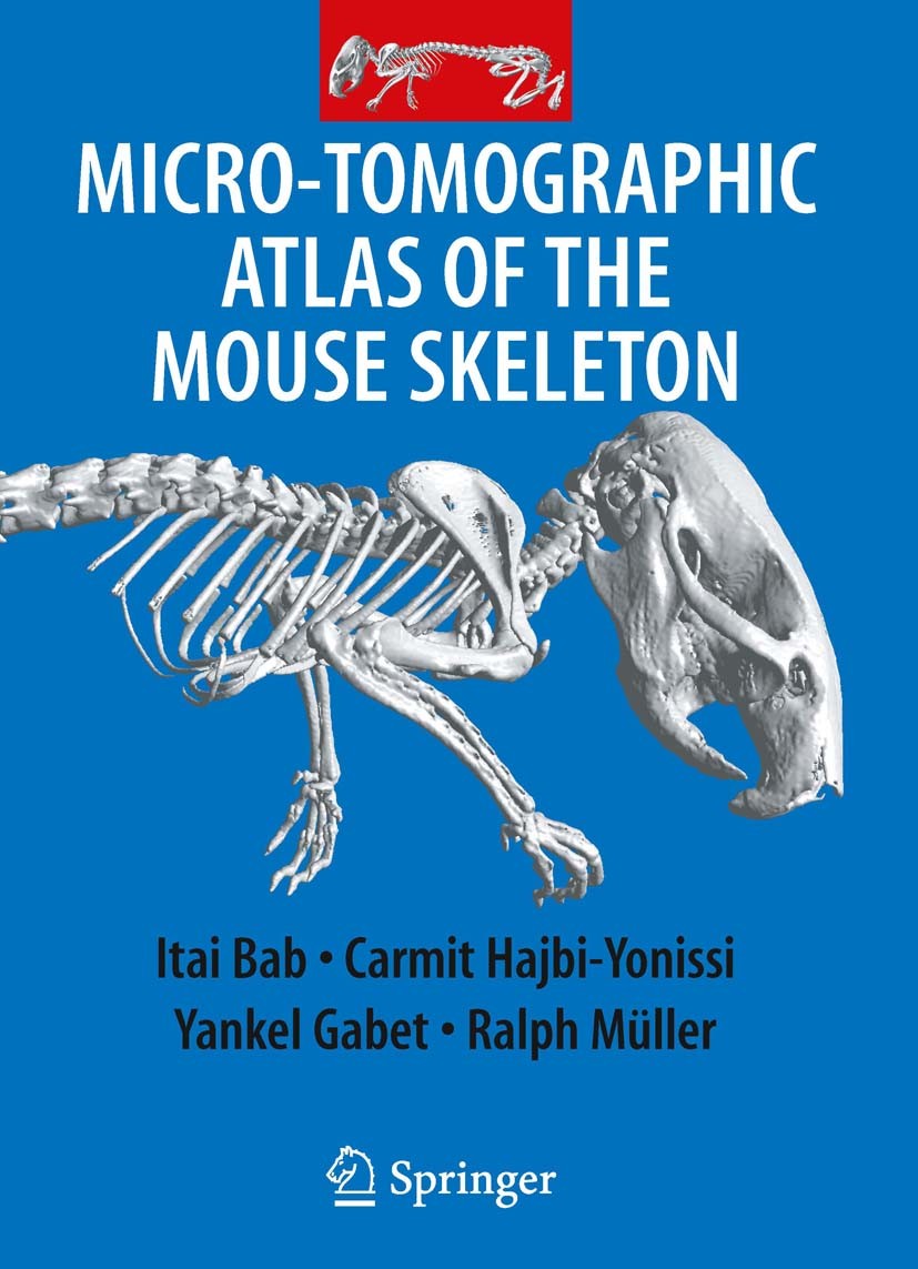 Titlebook: Micro-Tomographic Atlas of the Mouse Skeleton; Itai Bab,Carmit Hajbi-Yonissi,Ralph Müller Book 2007 Springer-Verlag US 2007 Atlas.Bab.Mous Titlebook: Micro-Tomographic Atlas of the Mouse Skeleton; Itai Bab,Carmit Hajbi-Yonissi,Ralph Müller Book 2007 Springer-Verlag US 2007 Atlas.Bab.Mous