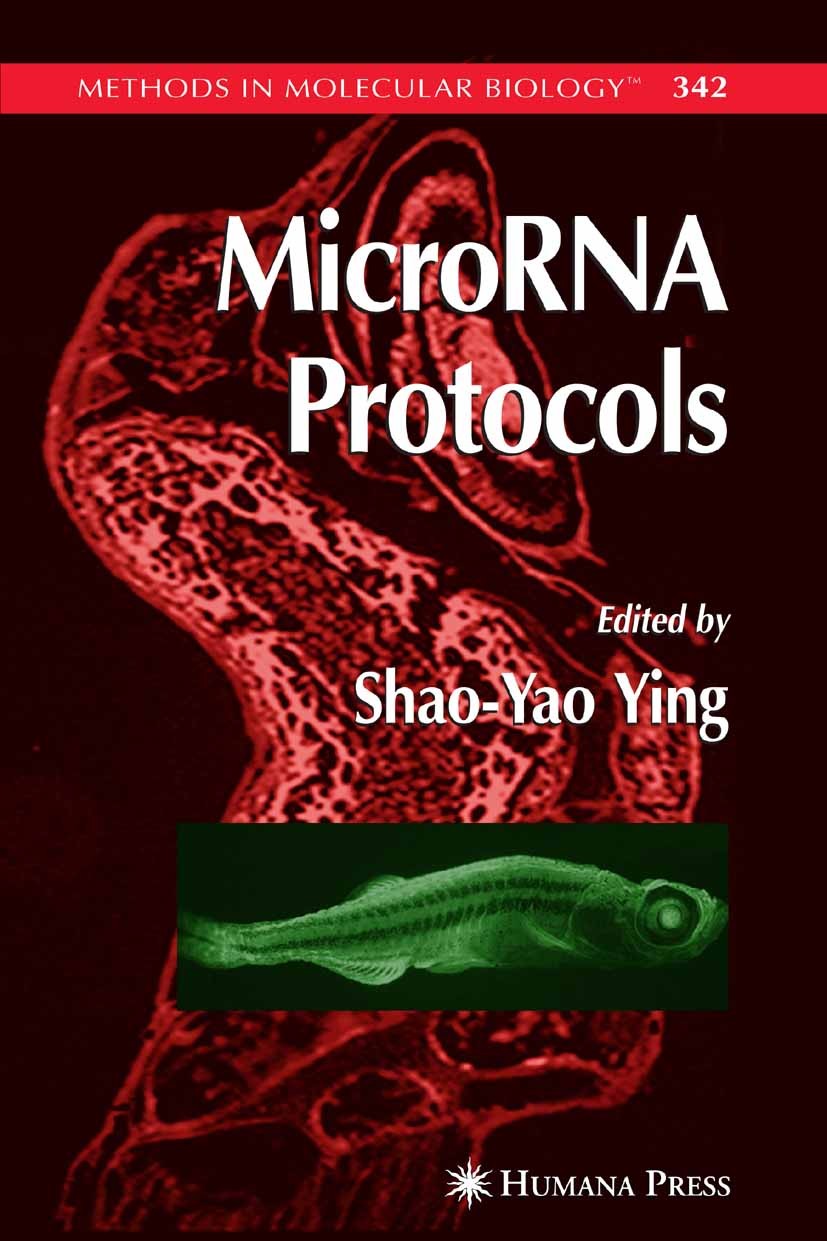 Titlebook: MicroRNA Protocols; Shao-Yao Ying Book 2006 Humana Press 2006 Vivo.evolution.genes.hybridization.miRNAs.tissue Titlebook: MicroRNA Protocols; Shao-Yao Ying Book 2006 Humana Press 2006 Vivo.evolution.genes.hybridization.miRNAs.tissue