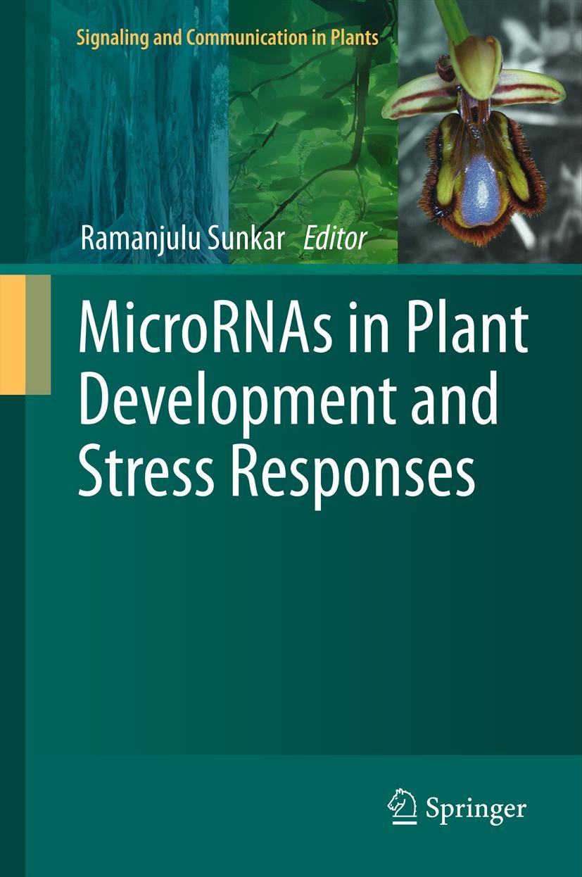 Titlebook: MicroRNAs in Plant Development and Stress Responses; Ramanjulu Sunkar Book 2012 Springer-Verlag Berlin Heidelberg 2012 gene regulation.miR Titlebook: MicroRNAs in Plant Development and Stress Responses; Ramanjulu Sunkar Book 2012 Springer-Verlag Berlin Heidelberg 2012 gene regulation.miR