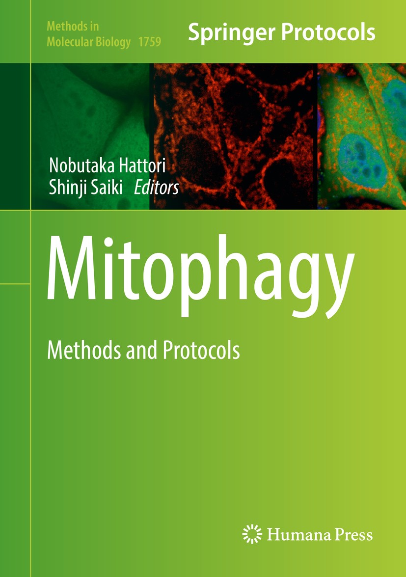Titlebook: Mitophagy; Methods and Protocol Nobutaka Hattori,Shinji Saiki Book 2018 Springer Science+Business Media, LLC, part of Springer Nature 2018 Titlebook: Mitophagy; Methods and Protocol Nobutaka Hattori,Shinji Saiki Book 2018 Springer Science+Business Media, LLC, part of Springer Nature 2018