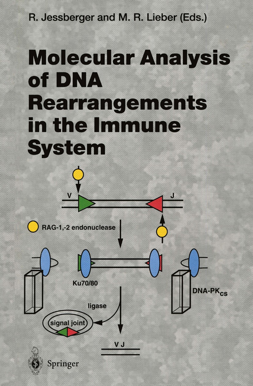 Titlebook: Molecular Analysis of DNA Rearrangements in the Immune System; Rolf Jessberger,Michael R. Lieber Book 1996 The Editor(s) (if applicable) a Titlebook: Molecular Analysis of DNA Rearrangements in the Immune System; Rolf Jessberger,Michael R. Lieber Book 1996 The Editor(s) (if applicable) a