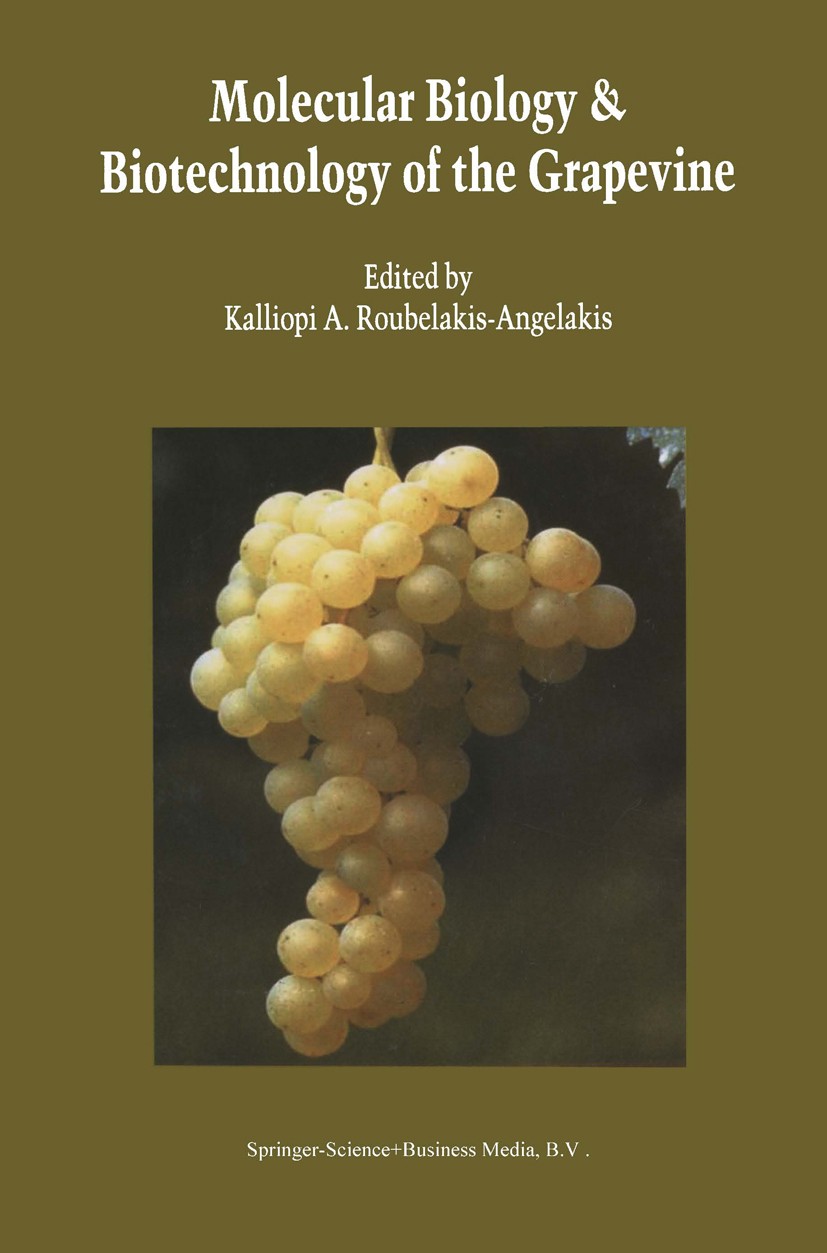 Titlebook: Molecular Biology & Biotechnology of the Grapevine; Kalliopi A. Roubelakis-Angelakis (Professor of Pla Book 20011st edition Springer Scien Titlebook: Molecular Biology & Biotechnology of the Grapevine; Kalliopi A. Roubelakis-Angelakis (Professor of Pla Book 20011st edition Springer Scien