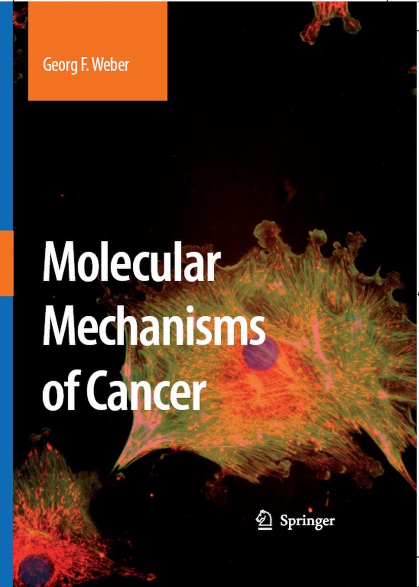 Titlebook: Molecular Mechanisms of Cancer; Georg F. Weber Textbook 2007 Springer Science+Business Media B.V. 2007 DNA.Immune System.angiogenesis.cell Titlebook: Molecular Mechanisms of Cancer; Georg F. Weber Textbook 2007 Springer Science+Business Media B.V. 2007 DNA.Immune System.angiogenesis.cell
