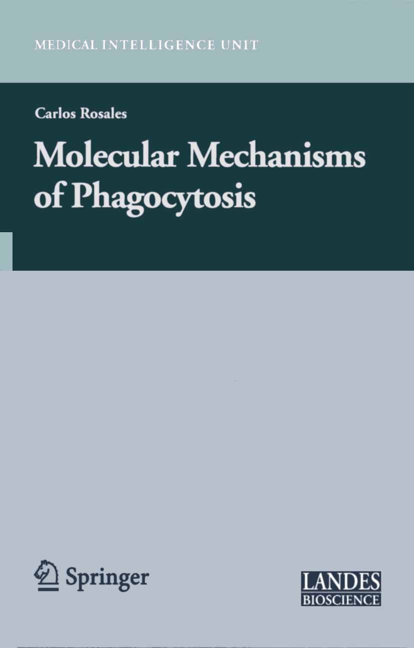 Titlebook: Molecular Mechanisms of Phagocytosis; Carlos Rosales Book 2005 Springer-Verlag US 2005 Calcium.Immunity.molecular mechanisms.protein.regul Titlebook: Molecular Mechanisms of Phagocytosis; Carlos Rosales Book 2005 Springer-Verlag US 2005 Calcium.Immunity.molecular mechanisms.protein.regul