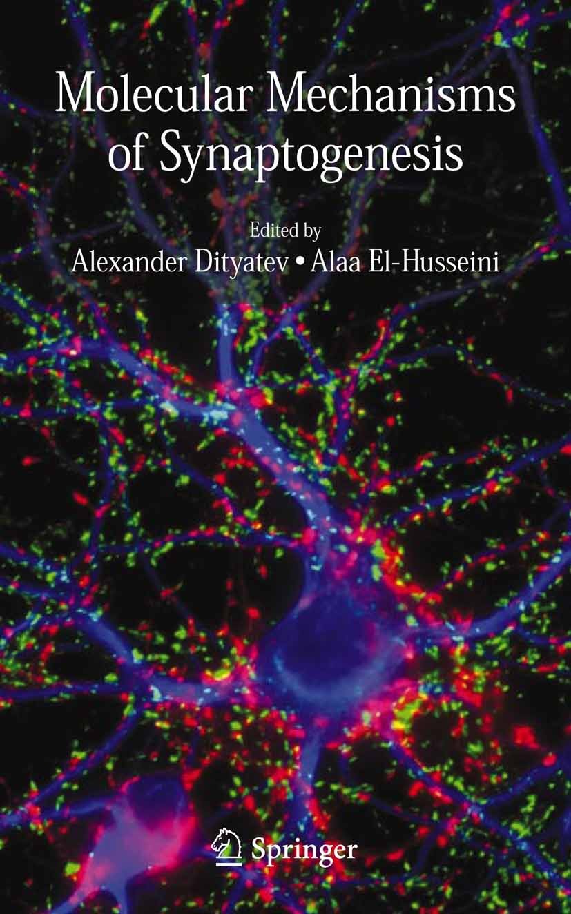 Titlebook: Molecular Mechanisms of Synaptogenesis; Alexander Dityatev,Alaa El-Husseini Book 2006 Springer-Verlag US 2006 El-Husseini.Mechanisms.Molec Titlebook: Molecular Mechanisms of Synaptogenesis; Alexander Dityatev,Alaa El-Husseini Book 2006 Springer-Verlag US 2006 El-Husseini.Mechanisms.Molec