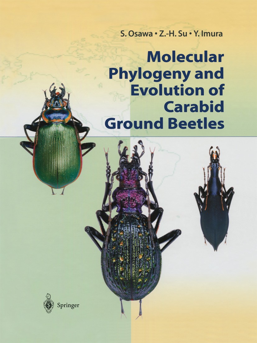Titlebook: Molecular Phylogeny and Evolution of Carabid Ground Beetles; Syozo Osawa,Zhi-Hui Su,Yûki Imura Book 2004 Springer Japan 2004 Carabid groun Titlebook: Molecular Phylogeny and Evolution of Carabid Ground Beetles; Syozo Osawa,Zhi-Hui Su,Yûki Imura Book 2004 Springer Japan 2004 Carabid groun
