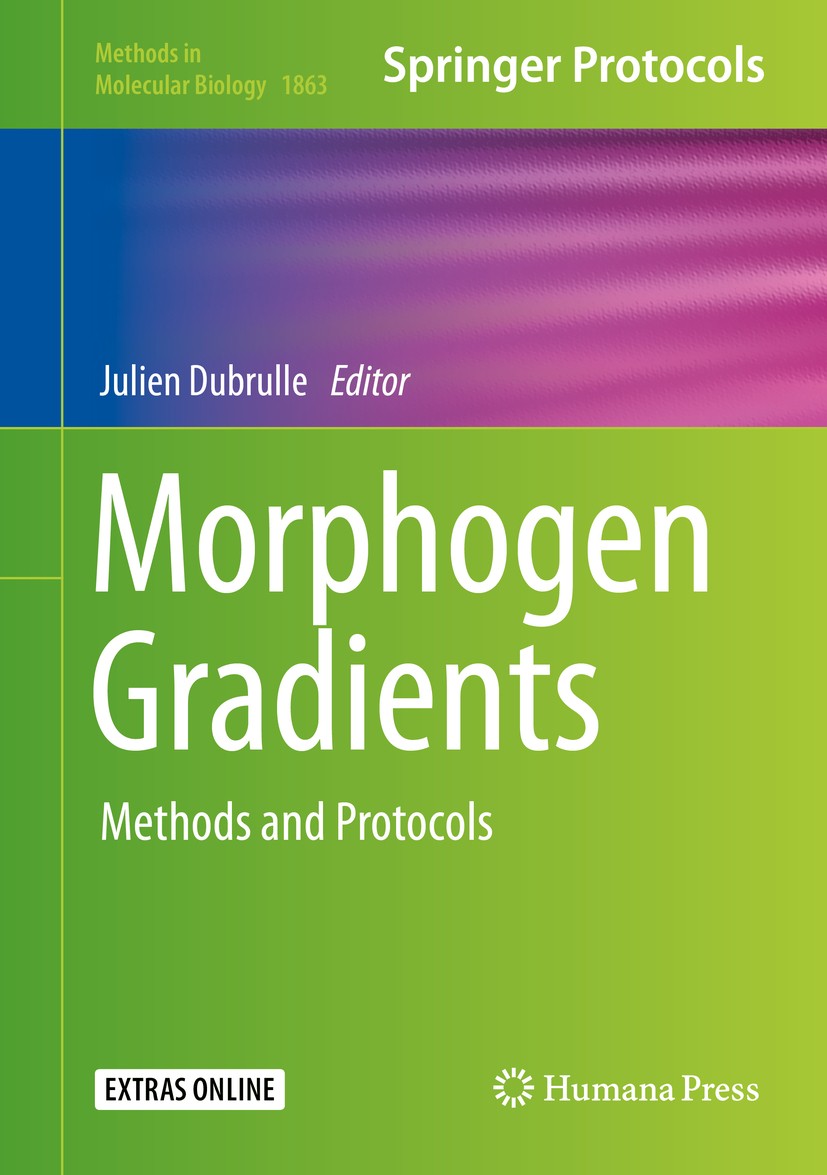 Titlebook: Morphogen Gradients; Methods and Protocol Julien Dubrulle Book 2018 Springer Science+Business Media, LLC, part of Springer Nature 2018 Prog Titlebook: Morphogen Gradients; Methods and Protocol Julien Dubrulle Book 2018 Springer Science+Business Media, LLC, part of Springer Nature 2018 Prog