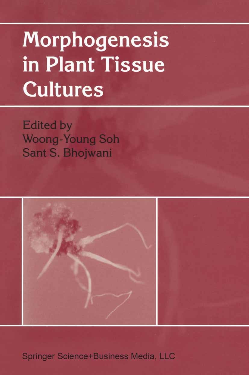 Titlebook: Morphogenesis in Plant Tissue Cultures; Woong-Young Soh,Sant S. Bhojwani Book 1999 Springer Science+Business Media Dordrecht 1999 Embryo.F Titlebook: Morphogenesis in Plant Tissue Cultures; Woong-Young Soh,Sant S. Bhojwani Book 1999 Springer Science+Business Media Dordrecht 1999 Embryo.F
