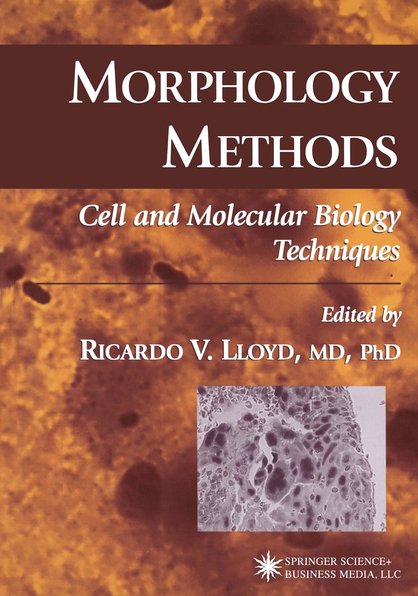 Titlebook: Morphology Methods; Cell and Molecular B Ricardo V. Lloyd Book 2001 Springer Science+Business Media New York 2001 DNA.FISH.PCR.hybridizatio Titlebook: Morphology Methods; Cell and Molecular B Ricardo V. Lloyd Book 2001 Springer Science+Business Media New York 2001 DNA.FISH.PCR.hybridizatio