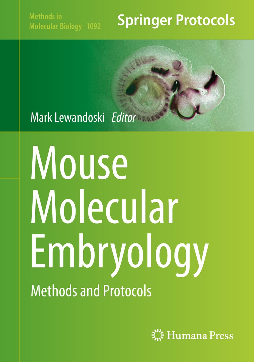Titlebook: Mouse Molecular Embryology; Methods and Protocol Mark Lewandoski Book 2014 Springer Science+Business Media, New York 2014 conditional gene Titlebook: Mouse Molecular Embryology; Methods and Protocol Mark Lewandoski Book 2014 Springer Science+Business Media, New York 2014 conditional gene