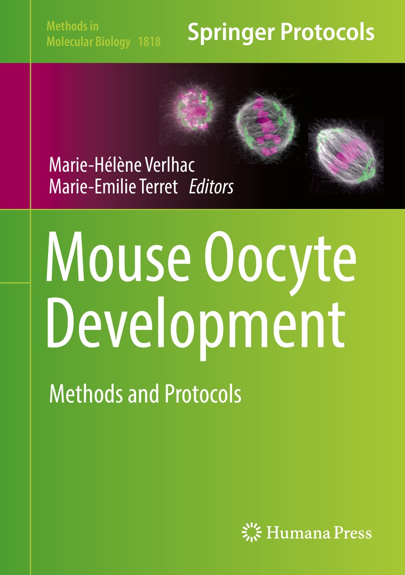 Titlebook: Mouse Oocyte Development; Methods and Protocol Marie-Hélène Verlhac,Marie-Emilie Terret Book 2018 Springer Science+Business Media, LLC, par Titlebook: Mouse Oocyte Development; Methods and Protocol Marie-Hélène Verlhac,Marie-Emilie Terret Book 2018 Springer Science+Business Media, LLC, par