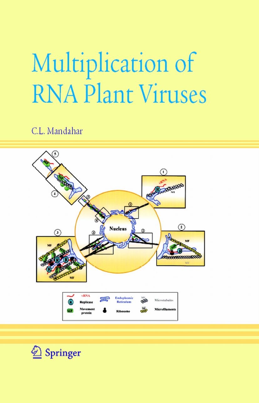 Titlebook: Multiplication of RNA Plant Viruses; C. L. Mandahar Book 2006 Springer Science+Business Media B.V. 2006 Expression.Multiplication.Nucleoti Titlebook: Multiplication of RNA Plant Viruses; C. L. Mandahar Book 2006 Springer Science+Business Media B.V. 2006 Expression.Multiplication.Nucleoti