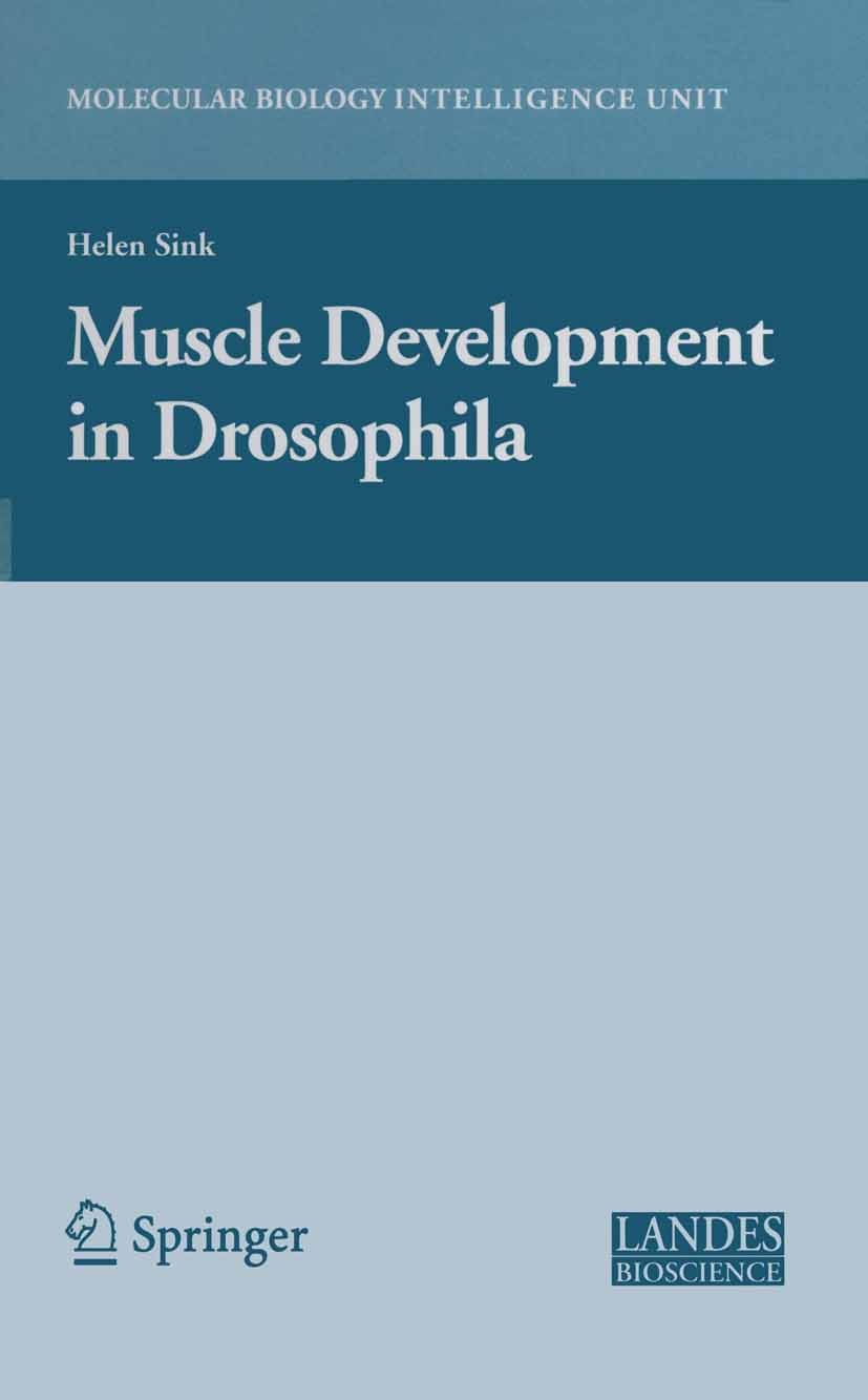 Titlebook: Muscle Development in Drosophilia; Helen Sink Book 2006 Springer-Verlag New York 2006 Drosophila.Mesoderm.Vertebrate.biology.development.e Titlebook: Muscle Development in Drosophilia; Helen Sink Book 2006 Springer-Verlag New York 2006 Drosophila.Mesoderm.Vertebrate.biology.development.e