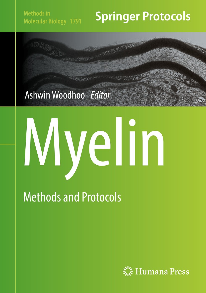Titlebook: Myelin; Methods and Protocol Ashwin Woodhoo Book 2018 Springer Science+Business Media, LLC, part of Springer Nature 2018 axons.leukodystrop Titlebook: Myelin; Methods and Protocol Ashwin Woodhoo Book 2018 Springer Science+Business Media, LLC, part of Springer Nature 2018 axons.leukodystrop