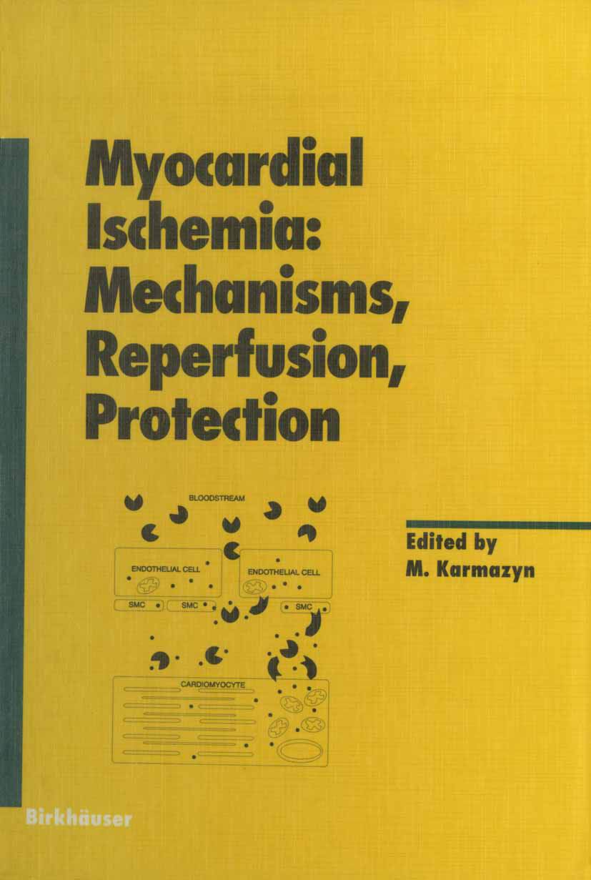 Titlebook: Myocardial Ischemia: Mechanisms, Reperfusion, Protection; Morris Karmazyn (Professor and Career Investigator Book 1996 Birkhäuser Verlag 1 Titlebook: Myocardial Ischemia: Mechanisms, Reperfusion, Protection; Morris Karmazyn (Professor and Career Investigator Book 1996 Birkhäuser Verlag 1
