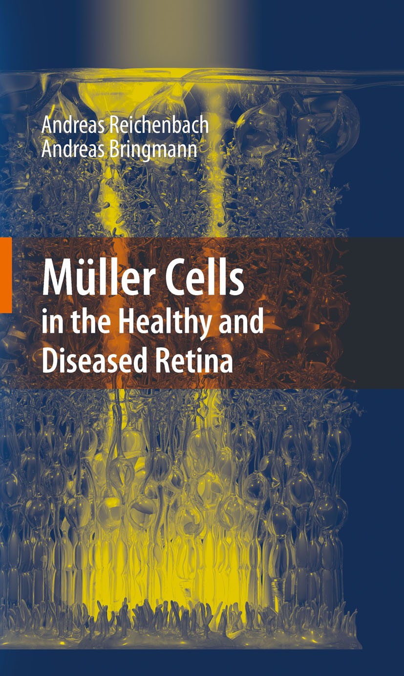 Titlebook: Müller Cells in the Healthy and Diseased Retina; Andreas Reichenbach,Andreas Bringmann Book 2010 Springer-Verlag New York 2010 axon path.e Titlebook: Müller Cells in the Healthy and Diseased Retina; Andreas Reichenbach,Andreas Bringmann Book 2010 Springer-Verlag New York 2010 axon path.e
