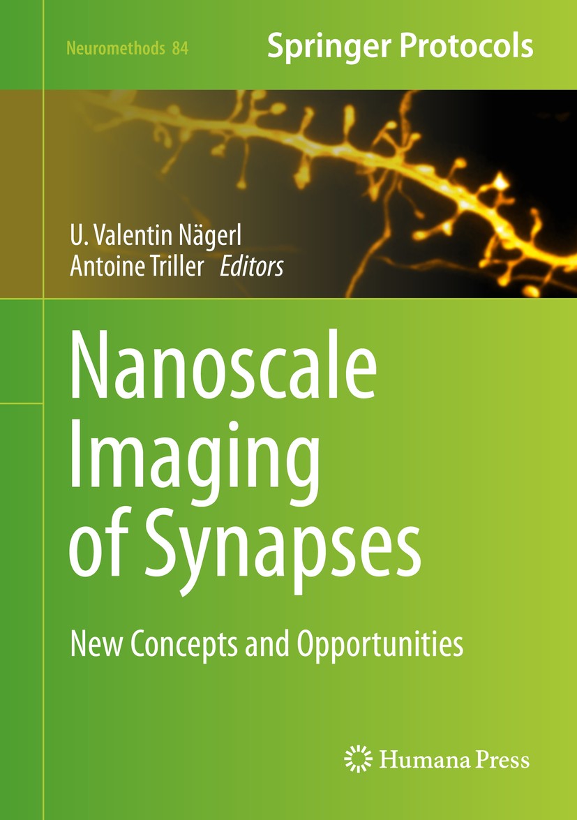 Titlebook: Nanoscale Imaging of Synapses; New Concepts and Opp U. Valentin Nägerl,Antoine Triller Book 2014 Springer Science+Business Media New York 2 Titlebook: Nanoscale Imaging of Synapses; New Concepts and Opp U. Valentin Nägerl,Antoine Triller Book 2014 Springer Science+Business Media New York 2