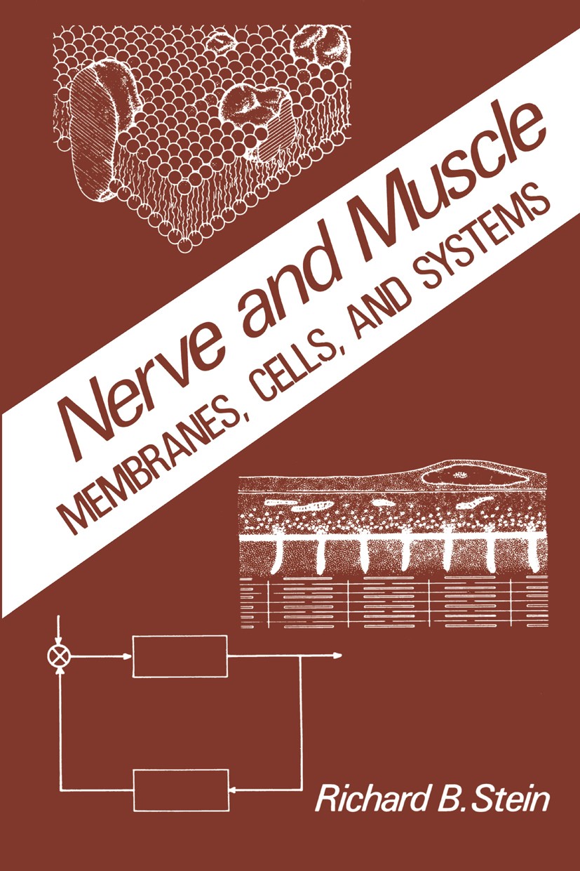 Titlebook: Nerve and Muscle; Membranes, Cells, an Richard B. Stein Book 1980 Plenum Press, New York 1980 biological.complex system.kinetics.molecule.t Titlebook: Nerve and Muscle; Membranes, Cells, an Richard B. Stein Book 1980 Plenum Press, New York 1980 biological.complex system.kinetics.molecule.t