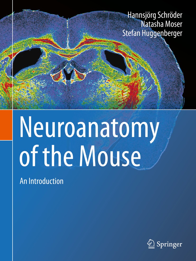 Titlebook: Neuroanatomy of the Mouse; An Introduction Hannsjörg Schröder,Natasha Moser,Stefan Huggenberg Textbook 2020 Springer Nature Switzerland AG Titlebook: Neuroanatomy of the Mouse; An Introduction Hannsjörg Schröder,Natasha Moser,Stefan Huggenberg Textbook 2020 Springer Nature Switzerland AG