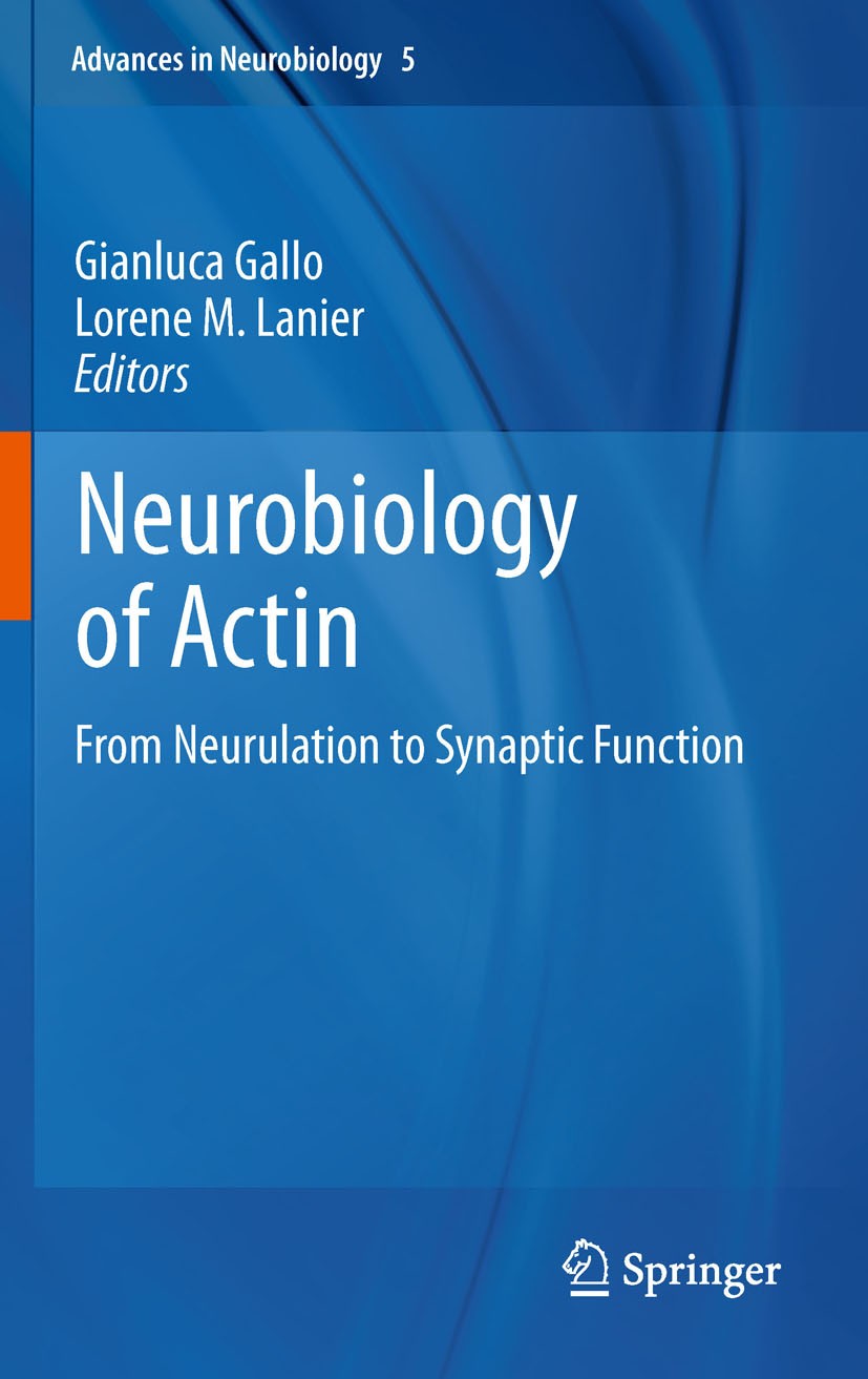 Titlebook: Neurobiology of Actin; From Neurulation to Gianluca Gallo,Lorene M. Lanier Book 2011 Springer Science+Business Media, LLC 2011 Actin.Gallo Titlebook: Neurobiology of Actin; From Neurulation to Gianluca Gallo,Lorene M. Lanier Book 2011 Springer Science+Business Media, LLC 2011 Actin.Gallo