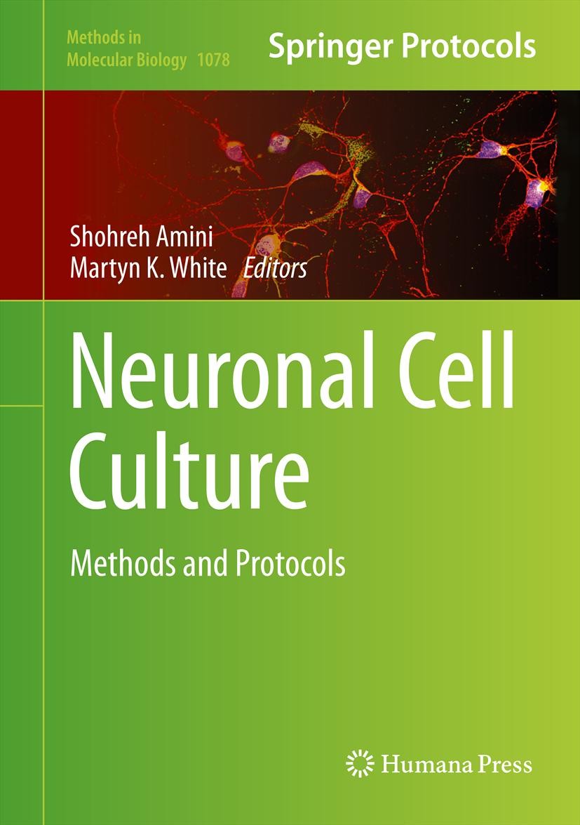 Titlebook: Neuronal Cell Culture; Methods and Protocol Shohreh Amini,Martyn K. White Book 2013 Springer Science+Business Media New York 2013 Cell line Titlebook: Neuronal Cell Culture; Methods and Protocol Shohreh Amini,Martyn K. White Book 2013 Springer Science+Business Media New York 2013 Cell line